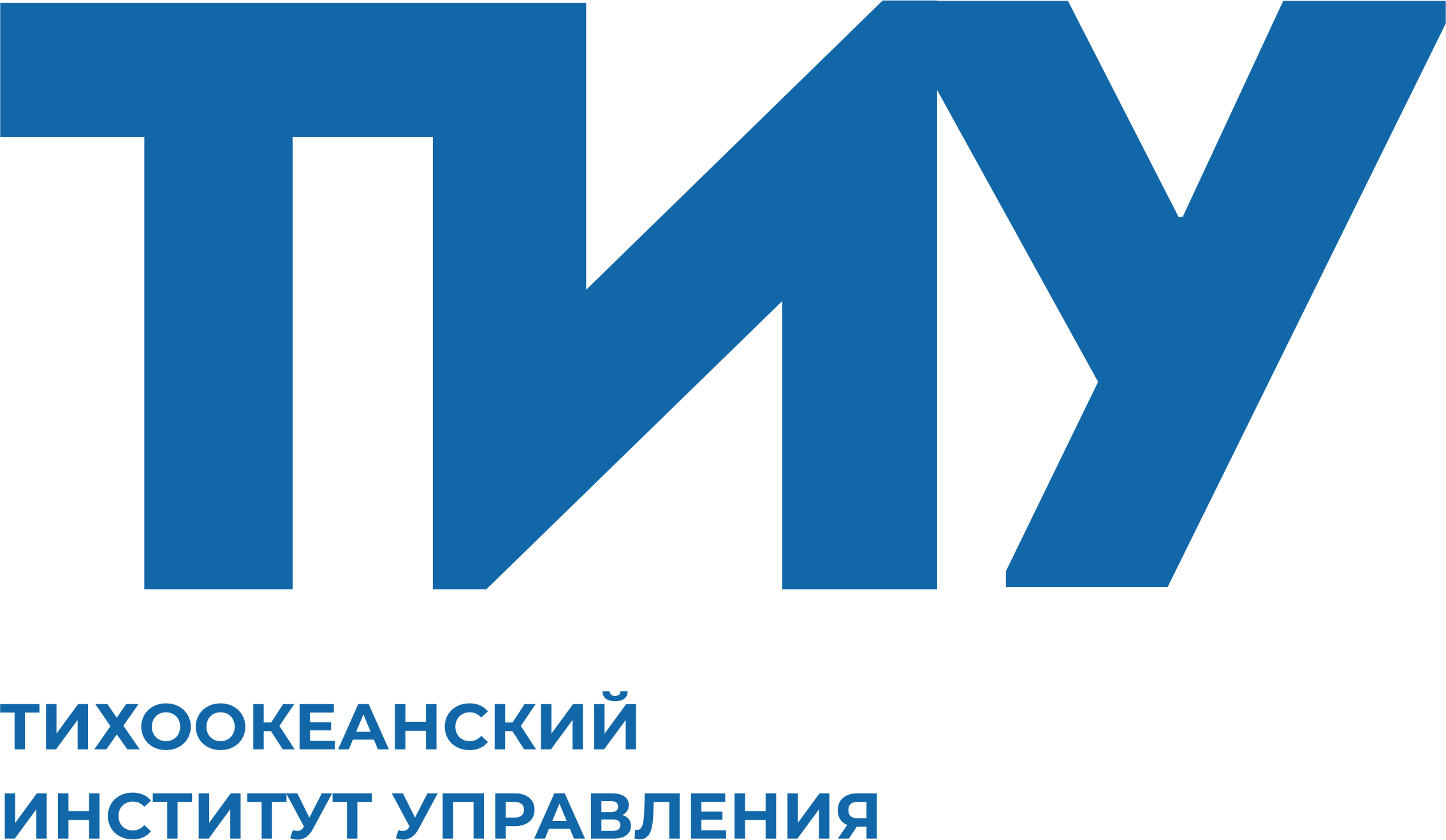 Институт управления проектами